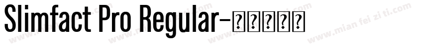Slimfact Pro Regular字体转换